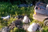 В Саратовской области у двух браконьеров изъяли 129 килограммов рыбы